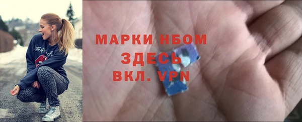 прущие грибы Алзамай