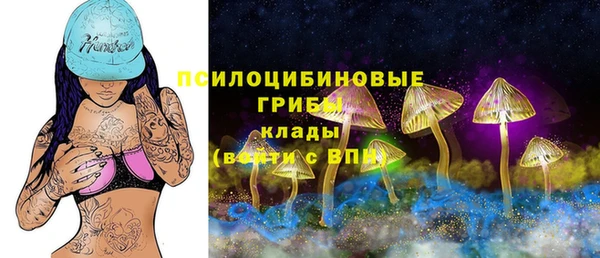 прущие грибы Алзамай
