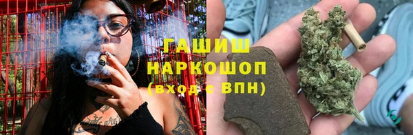 прущие грибы Алзамай
