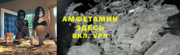 прущие грибы Алзамай